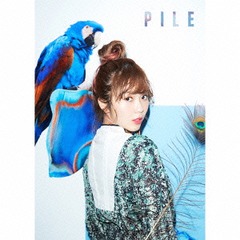 PILE [DVDս B]