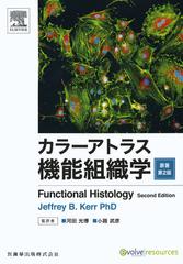 顼ȥ饹ǽȿ / ȥ:Functional histology 2Ǥ