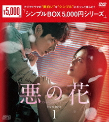 β DVD-BOX 1 㥷ץBOX 5,000ߥ꡼