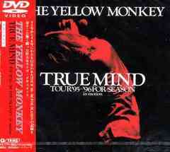 TRUE MIND TOUR &#39;95-&#39;96 FOR SEASON in motion