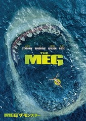 MEG 󥹥