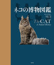 ͥʪ޴ / ȥ:The CAT