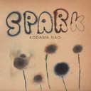 SPARK