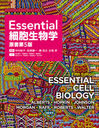 Essential˦ʪ / ȥ:Essential Cell Biology 5Ǥ