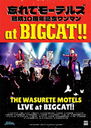 ˺ƥ⡼ƥ륺10ǯǰޥat BIGCAT!! []