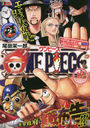 ONE PIECE ԡ 17 (Ѽҥץߥå)