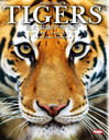 TIGERS 硦ǶΡǭ Υȥ̿