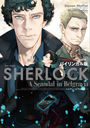 SHERLOCK٥륰졼ӥνʹ Х󥬥 