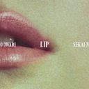 Lip [DVDս]