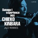 Sunaga t experience DIGS CHIEKO KINBARA CHIEKO KINBARA JAZZ REMIXIES