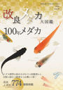 ɥ޴ 100ǯ Vol.19(2022)