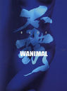 WANIMAL Ϫ (֥롼)