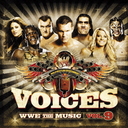 VOICES WWE THE MUSIC volume 9/˥Х