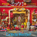 󥸥ߥå! 11 / ȥ:CAN YOU SEE WHAT I SEE?:Curiosity Shop