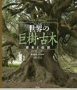 ε 奢 ˤ / ȥ:World Tree Story