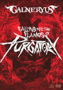 FALLING INTO THE FLAMES OF PURGATORY [DVD+2CD/̾]