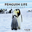 PENGUIN LIFE ڥ󥮥󤪤䤳ΤȤ