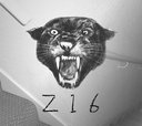 Z16