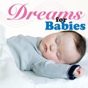 Dreams for Babys ŷͻƤ֤ΰ٤ο̲ڡ