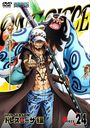 ONE PIECE ԡ 17TH ɥ쥹 piece.24