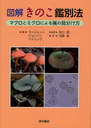 ޲򤭤Τˡ ޥȥߥˤ°θʬ / ȥ:HOW TO IDENTIFY MUSHROOMS TO GENUS