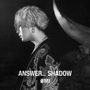 ANSWER... SHADOW [DVDս B]