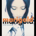 marigold