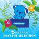 a-nation'09 BEST HIT SELECTION [CD+DVD]