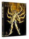 Ʈ ⺲ -soul of gold- 3 []