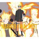 NARUTO FINAL BEST [DVDմ]