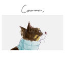 Comma [䤹]