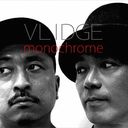 monochrome/Vlidge