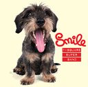 Smile [CD+DVD] [SACD Hybrid]