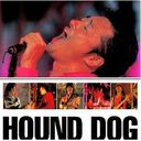 ץߥࡦ٥ ϥɡɥå/HOUND DOG