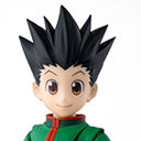 S.H.Figuarts HUNTER x HUNTER /