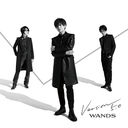 Version 5.0 [CD+Blu-ray/A]/WANDS