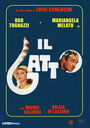 IL GATTO (ǭ)