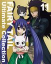 FAIRY TAIL -Ultimate collection- Vol.11