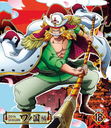 ONE PIECE ԡ 20TH ι PIECE.18