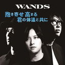  ޤ βȶ [̾]/WANDS