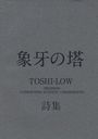 ݲ TOSHI-LOW