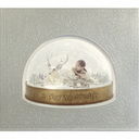 A Tiny Winter Story [2CD+DVD+PHOTOBOOK/]