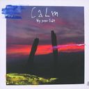 by Your Side/Calm