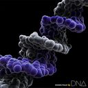 DNA [CD+Blu-ray]