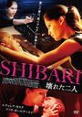 SHIBARI 줿/β