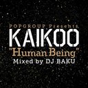 KAIKOO OFFICIAL MIXCD 2005-2010 ()/DJ BAKU