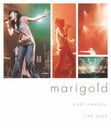 LIVE 2002 marigold