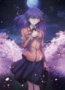 ǡFate/stay night [Heaven's Feel] I.presage flower [̾]