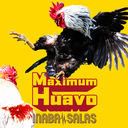 Maximum Huavo [ꥸʥTս]