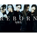 REBORN [̾]